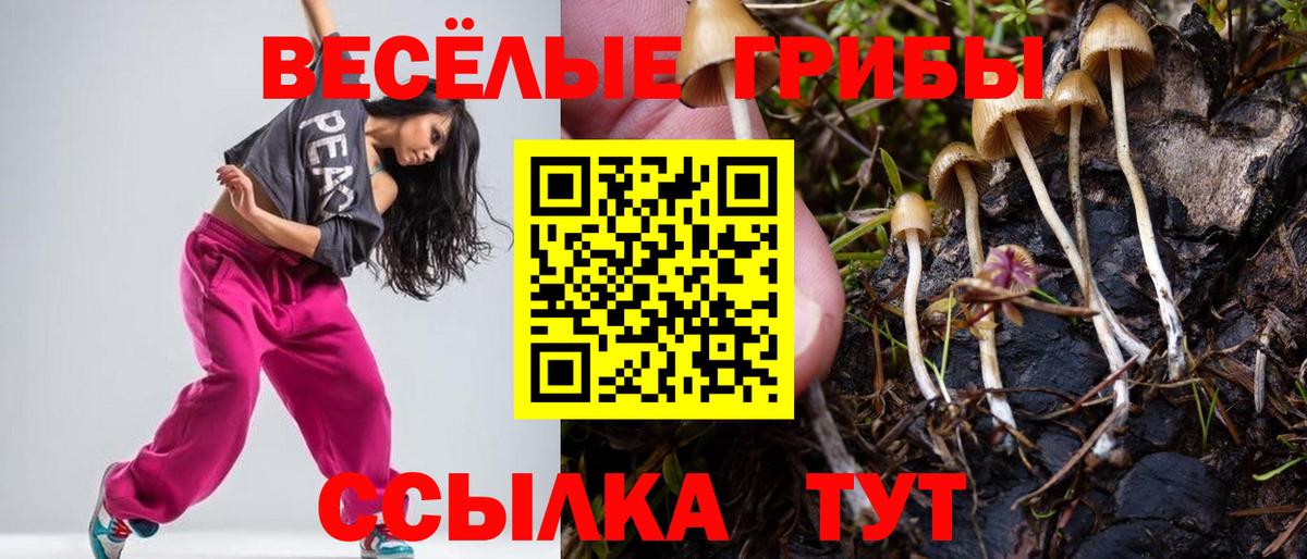 Галлюциногенные грибы MAGIC MUSHROOMS Дивногорск