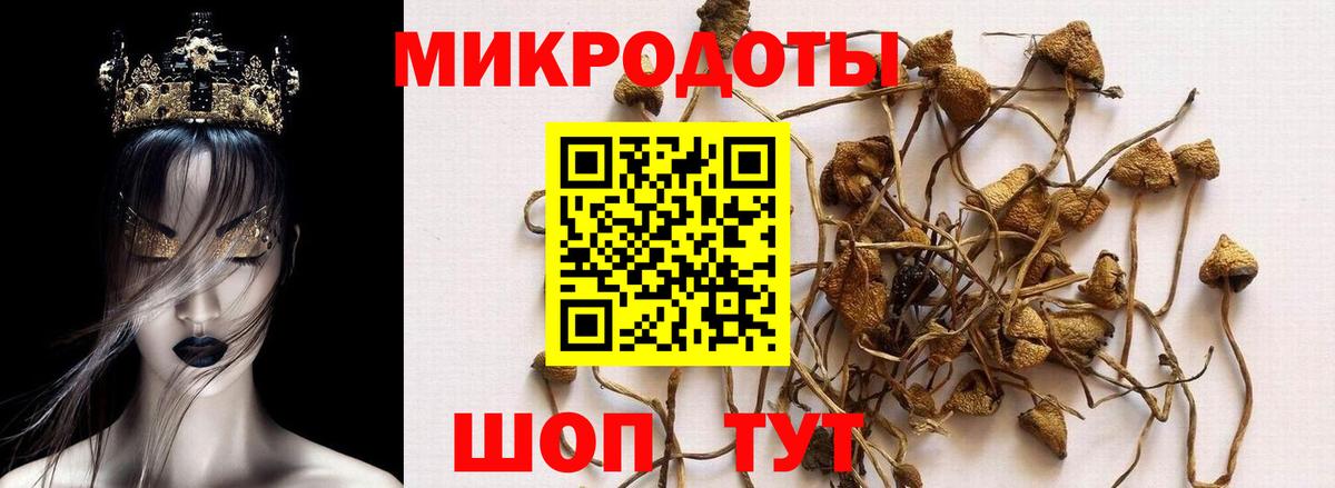 Псилоцибиновые грибы MAGIC MUSHROOMS  Дивногорск 