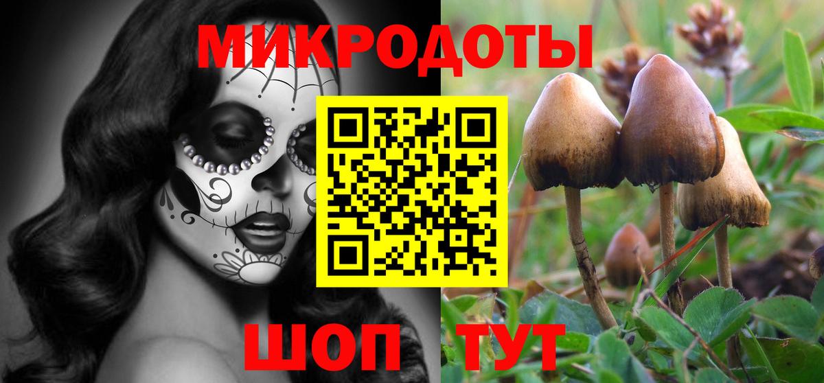 Дивногорск  Галлюциногенные грибы GOLDEN TEACHER  Галлюциногенные грибы Cubensis  Вход с VPN 